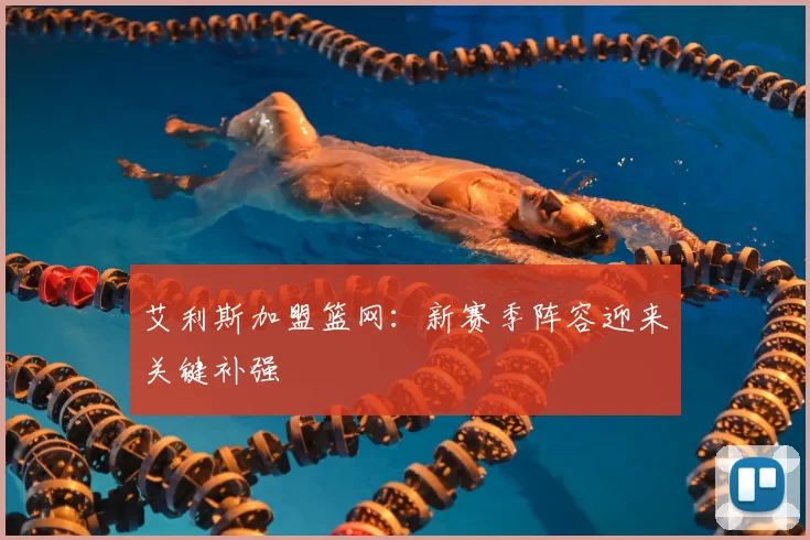 艾利斯加盟篮网:新赛季阵容迎来关键补强